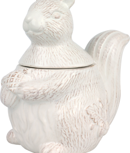 8205 BOÎTE « SASSY SQUIRREL »